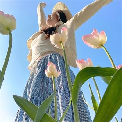 秋菊打官司
