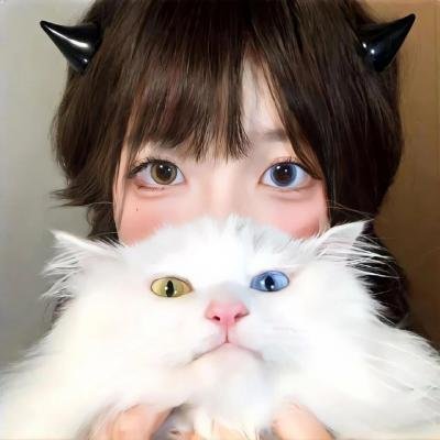 西部骑士