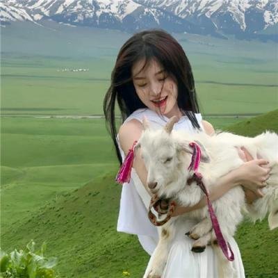 小马宝莉:新世代国语版